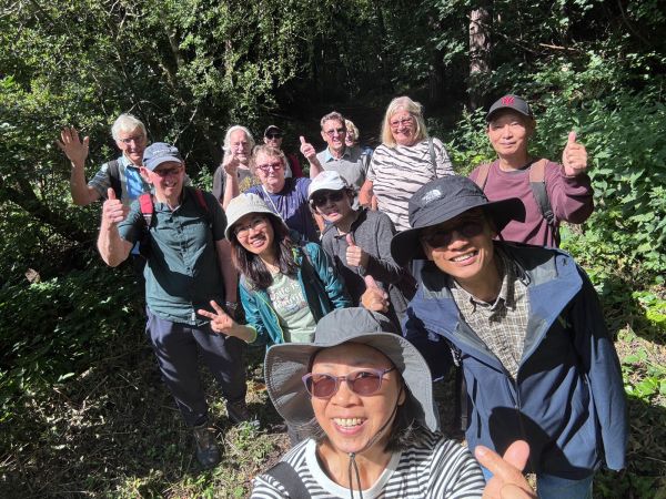 Some of our Pelaw View walkers